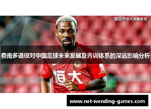 费南多退役对中国足球未来发展及青训体系的深远影响分析